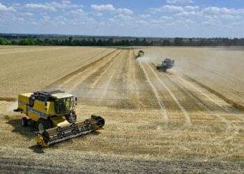 Держстат озвучив дані по ВВП за другий квартал