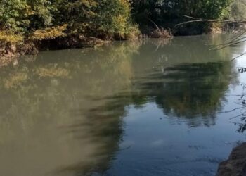 Екологи повідомляють про погіршення стану води у річці Сейм