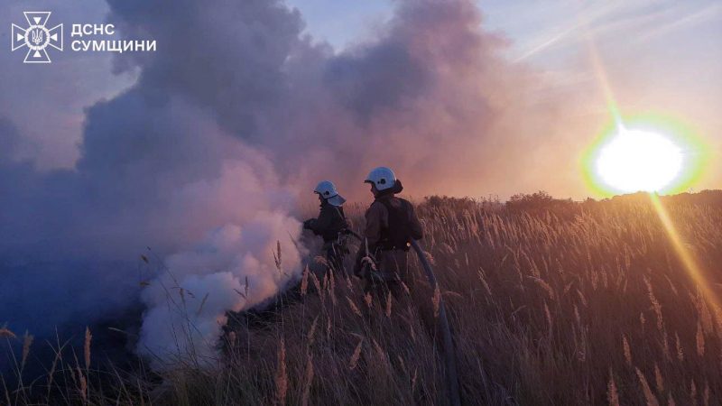 Сумська область: за минулу добу вогнеборці 14 разів ліквідовували загоряння сухої рослинності