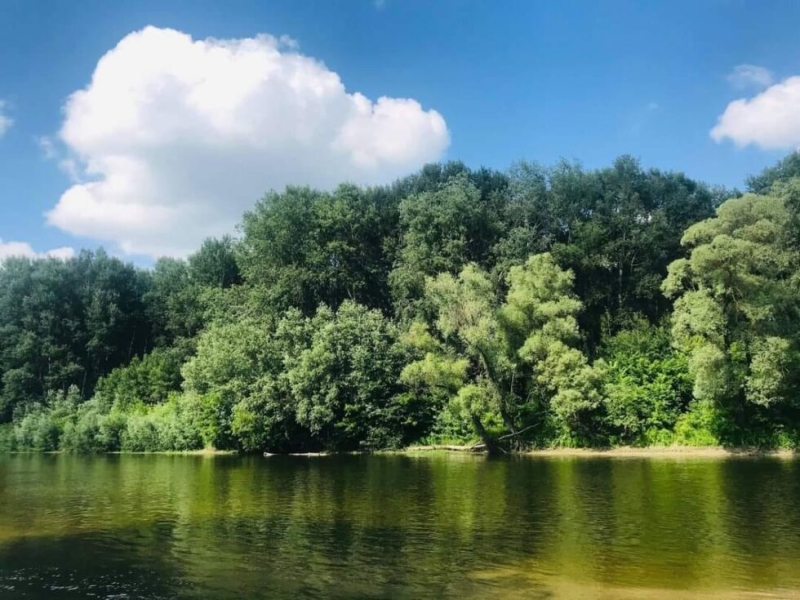 Якість води в річці Сейм поступово нормалізується