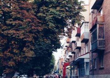 Якою буде погода на початку тижня?