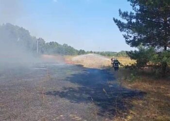 Кролевецькі лісівники долучилися до гасіння лісової пожежі, що виникла в Кролевецькій громаді