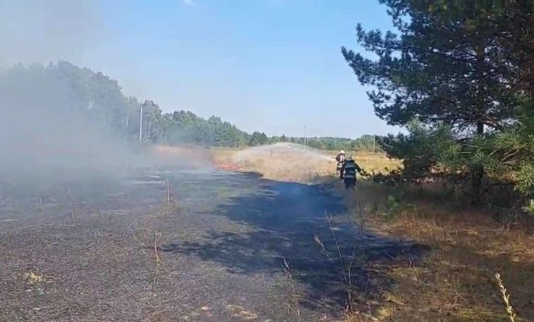 Кролевецькі лісівники долучилися до гасіння лісової пожежі, що виникла в Кролевецькій громаді