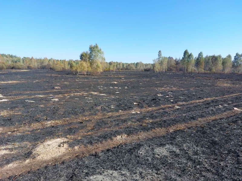 Кролевецькі лісівники долучилися до гасіння лісової пожежі, що виникла в Кролевецькій громаді