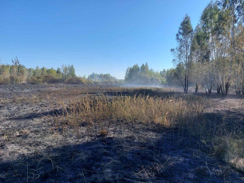 Кролевецькі лісівники долучилися до гасіння лісової пожежі, що виникла в Кролевецькій громаді