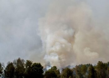 Лісівники Кролевеччини повідомляють про критичну ситуацію з лісовими пожежами на Сумщині