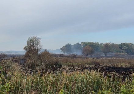 На Конотопщині ворожа ракета влучила в поле