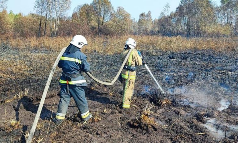 На Кролевеччині продовжують ліквідовувати пожежу поблизу Реутинців