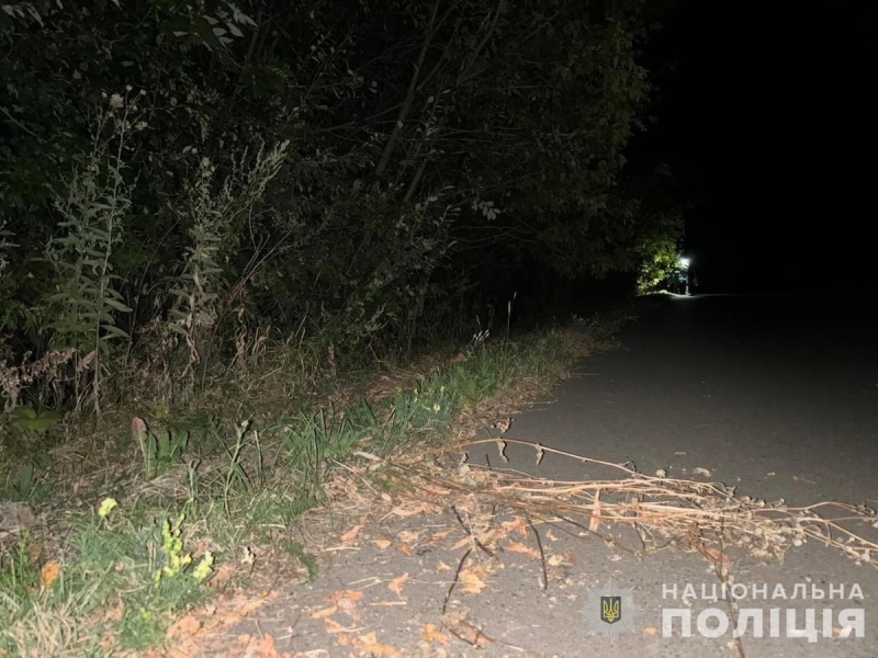 На Кролевеччині в ДТП загинули двоє юнаків