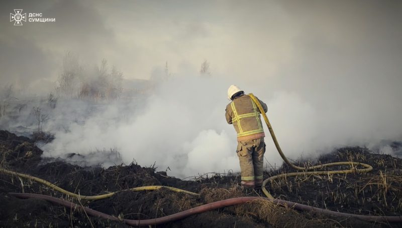 На Сумщині кілька діб поспіль борються з масштабною пожежею, яка охопила торф’яники