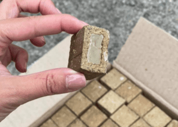 На Сумщині планується проведення осінньої кампанії вакцинації диких м’ясоїдних тварин