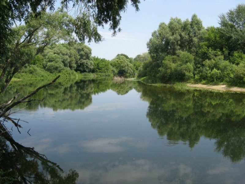 На Сумщині покращуються показники якості води у р. Сейм