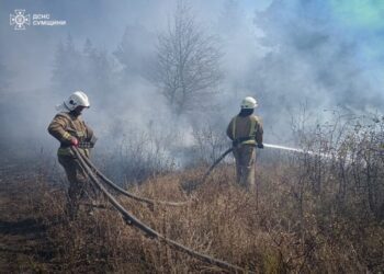 На Сумщині рятувальники щоденно приборкують загоряння сухої рослинності (ВІДЕО)