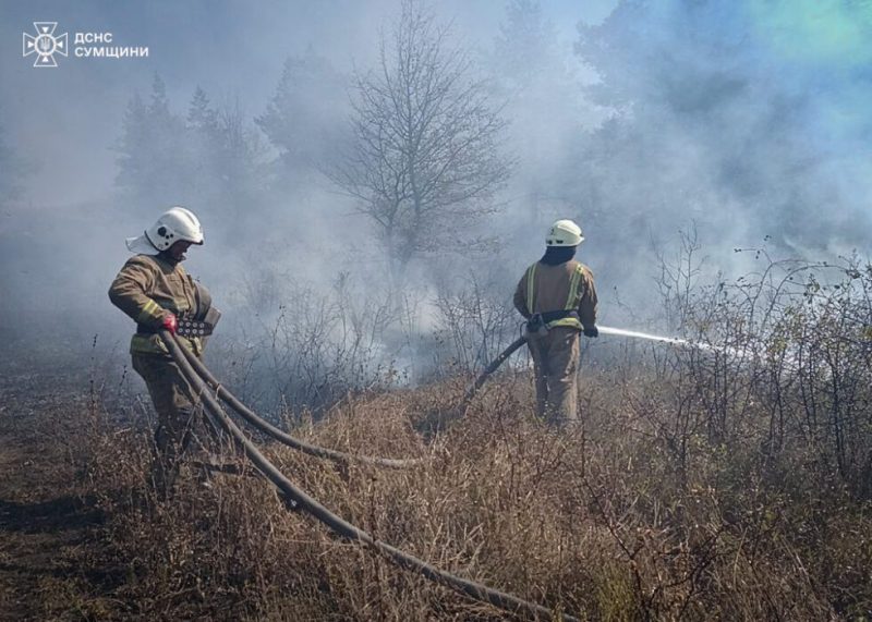 На Сумщині рятувальники щоденно приборкують загоряння сухої рослинності (ВІДЕО)