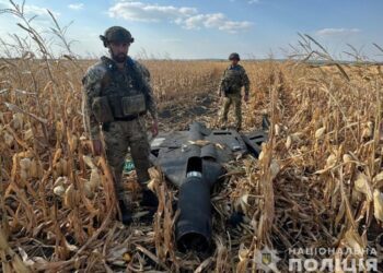 На Сумщині вибухотехніки поліції знешкодили ворожий «Шахед»