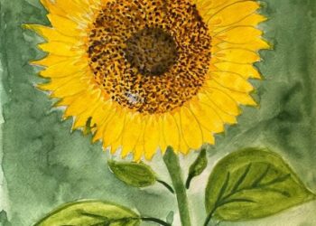 Поповнення скарбнички перемог