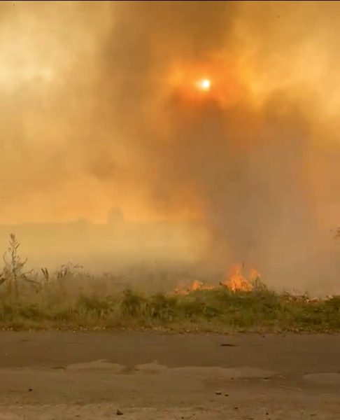 Рятувальники ліквідовують масштабну пожежу на Конотопщині