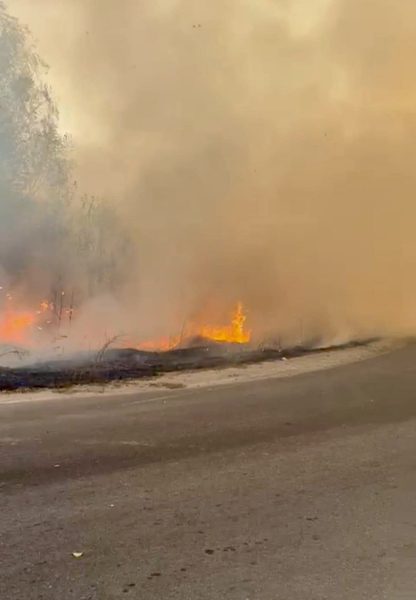 Рятувальники ліквідовують масштабну пожежу на Конотопщині