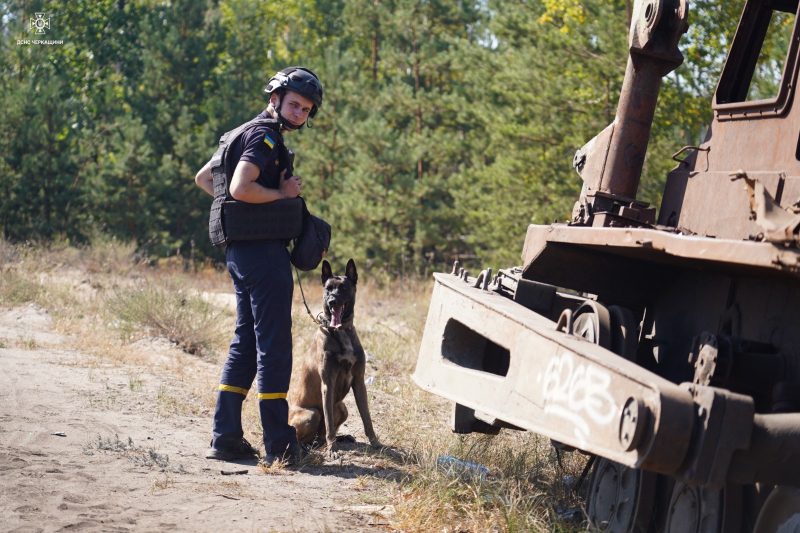 Собаки-детектори з Ромен допомагають у розмінуванні територій на Донеччині