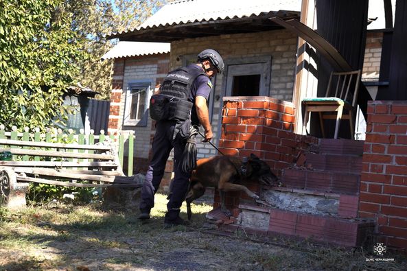 Собаки-детектори з Ромен допомагають у розмінуванні територій на Донеччині