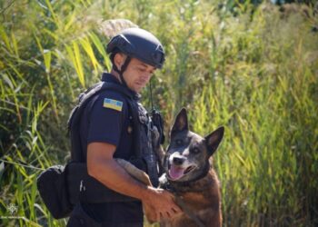 Собаки-детектори з Ромен допомагають у розмінуванні територій на Донеччині