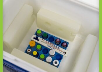 Сумщина на наступному тижні отримає 10 000 доз оральної вакцини для дітей проти поліомієліту