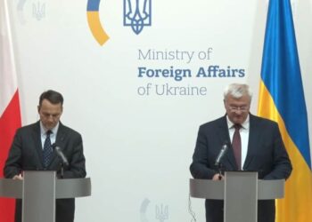 У Києві та Варшаві розповіли про формування Українського легіону в Польщі