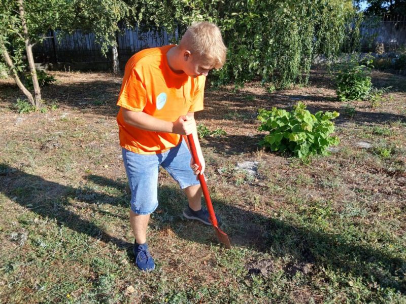 У Конотопі молодь висадила садженці в рамках благодійної акції “Посади дерево Миру” 