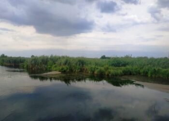 У конотопському водоканалі роз’яснили, чи не може забруднення Сейму прямо впливати і на Єзуч