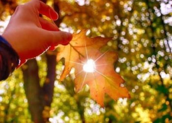 У найближчі дні на Сумщині збережеться літня погода