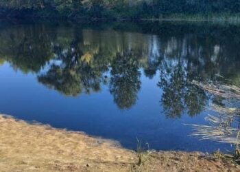 У повітрі над Сеймом, в межах Кролевецької громади, виявлено перевищення аміаку та сірководню