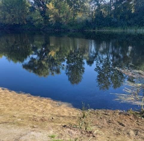 У повітрі над Сеймом, в межах Кролевецької громади, виявлено перевищення аміаку та сірководню