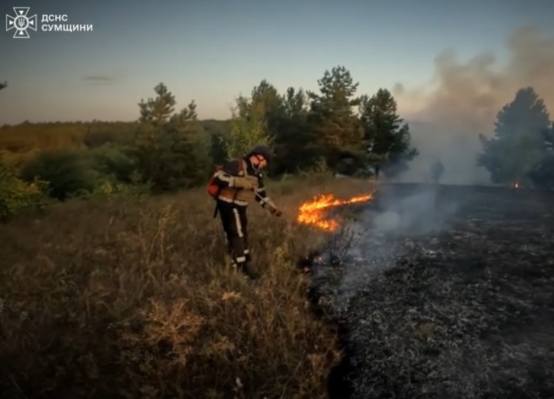 У Сумському районі рятувальники ліквідували загоряння лісової підстилки, яка зайнялася через обстріли