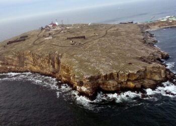 WSJ: Бійці ГУР, які звільняли Зміїний, понад добу блукали в морі на гумовому човні