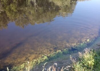 За допомогою космічних знімків фахівці встановили джерела забруднення річки Сейм