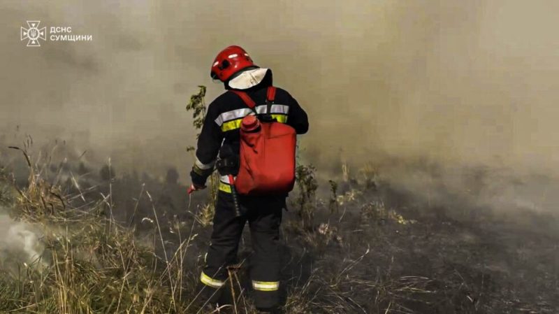 За минулу добу вогнеборці 14 разів ліквідовували загоряння сухої рослинності