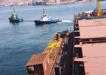 Українським морським коридором транспортували 50 млн тонн агропродукції