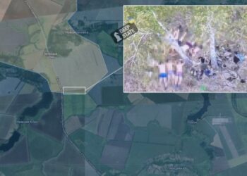 DeepState: у Курській області росіяни розстріляли 9 українських військових, які здалися в полон