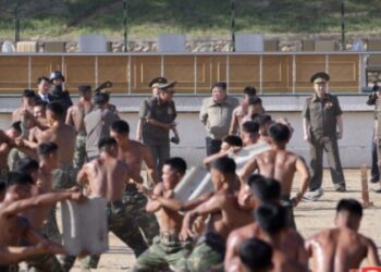 23 жовтня перші солдати КНДР прибудуть до Курської області РФ — The War Zone