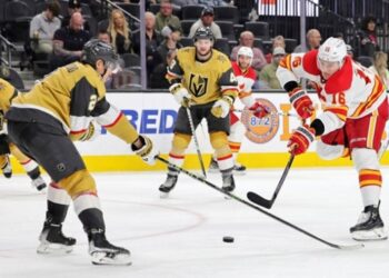 НХЛ: Флорида забила дев’ять шайб Монреалю, Калгарі сім разів Вегасу