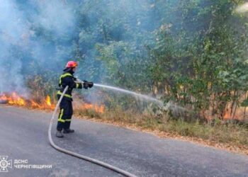 Через бойові дії на прикордонних територіях у Новгород-Сіверському районі загорілися 9 гектарів лісу