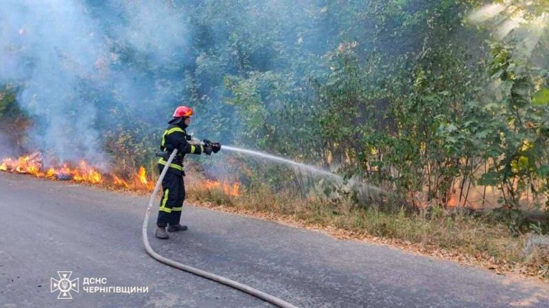 Через бойові дії на прикордонних територіях у Новгород-Сіверському районі загорілися 9 гектарів лісу