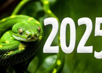 Чий рік 2025 за китайським календарем: прогноз для України, вдалі дні, заборони