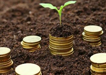 ДАР продовжив прийом заявок на отримання бюджетної субсидії на одиницю оброблюваних угідь