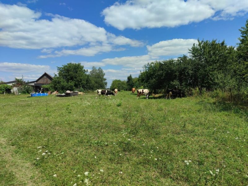 До Шосткинської МТГ завітали представники Норвезької ради у справах біженців (+фото)