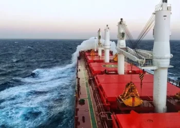 От диплома до визы США: все морские документы теперь можно получить онлайн