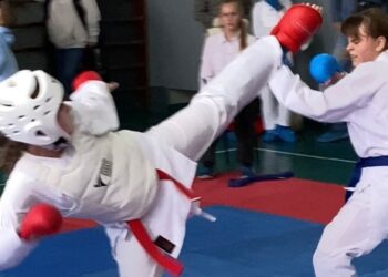 Як пройшли змагання каратистів Шосткинського району