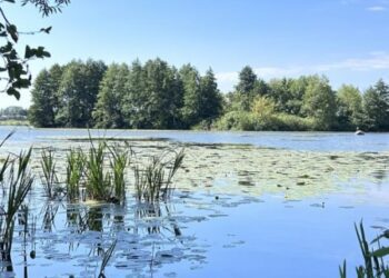 Якість води у трьох водоймах Шостки відповідає санітарним нормам
