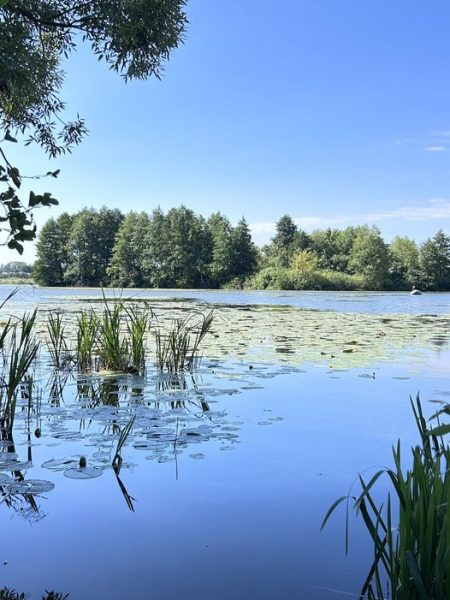 Якість води у трьох водоймах Шостки відповідає санітарним нормам