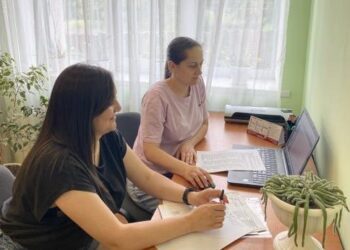 КОНСУЛЬТАЦІЙНА ДІЯЛЬНІСТЬ ФАХІВЦІВ ІРЦ